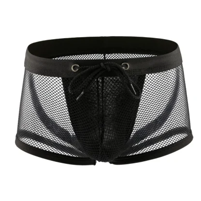 Sensual Mesh Underwear